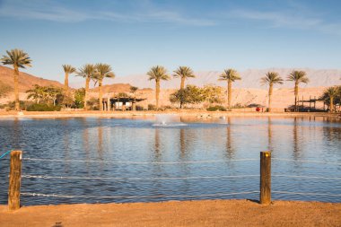 Timna Vadisi vaha Gölü, Eilat, İsrail yakınındaki