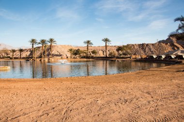 Timna Vadisi vaha Gölü, Eilat, İsrail yakınındaki