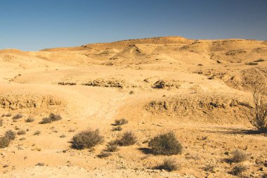 Negev Çölü 'nde yürüyüş yolu, Ramon Krateri, Wadi Ardon Yolu, İsrail.