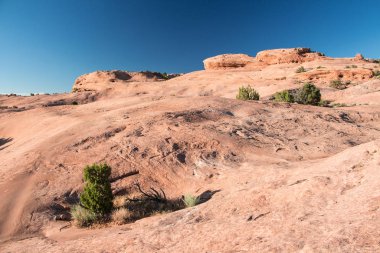 Kum Düz Rekreasyon Alanı, Moab Utah yakınında