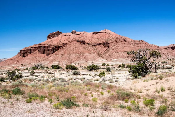 Devil Canyon View Område San Rafael Swell Utah Usa — Stockfoto