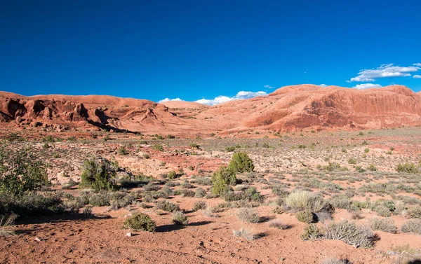 Sand Flat Rekreationsområde Nära Moab Utah — Stockfoto