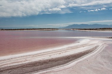 Utah, Great Salt Gölü 'nde pembe su ve tuzlu sahil.