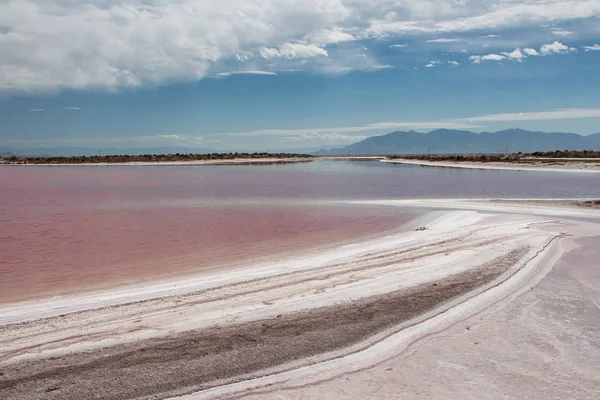 ユタ州グレートソルト湖のピンクの水と塩辛い海岸 — ストック写真