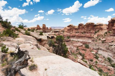 The Needles, Canyonlands Ulusal Parkı, Utah, Batı Amerika.