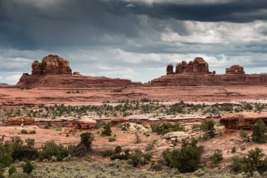 The Needles, Canyonlands Ulusal Parkı, Utah, Batı Amerika.