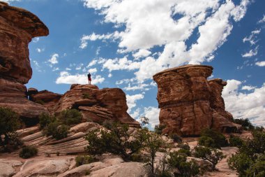 Genç yürüyüşçü adam Canyonlands Nationa Park'ta bir kaya üzerinde duran