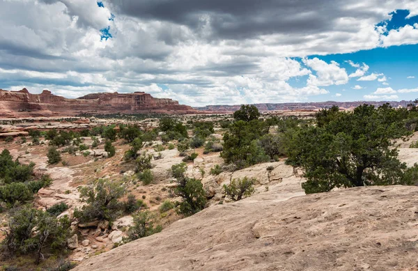 Needles Canyonlands National Park Utah Estados Unidos América — Fotografia de Stock