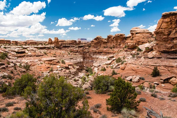 Needles Canyonlands Ulusal Parkı Utah Batı Amerika — Stok fotoğraf