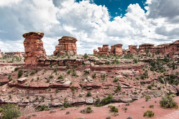 Βελόνες Εθνικό Πάρκο Canyonlands Γιούτα Δυτική Αμερική — Φωτογραφία Αρχείου