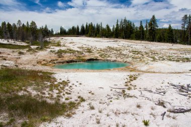 Batı Parmak Gayzer Havzası, Yellowstone Ulusal Parkı, Wyoming 