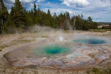 Yellowstone Ulusal Parkı 'ndaki Eski Sadık Havza