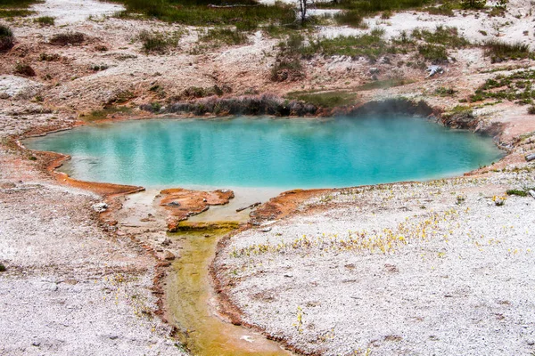 Cuenca Oeste Pulgar Géiser Del Parque Nacional Yellowstone Wyoming — Foto de Stock