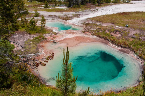 Cuenca Oeste Pulgar Géiser Del Parque Nacional Yellowstone Wyoming — Foto de Stock