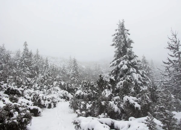 Escena Invierno Con Nieve Cubierta Árboles Congelados Marco Para Texto —  Fotos de Stock