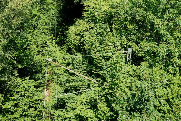 Büyümüş bir demiryolu trac üzerinde bir havai temas hattı görünümü