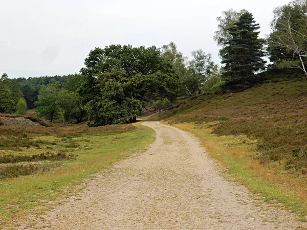 La via da percorrere attraverso le brughiere — Foto Stock