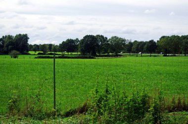 açık mavi gökyüzü olan bir arazi.