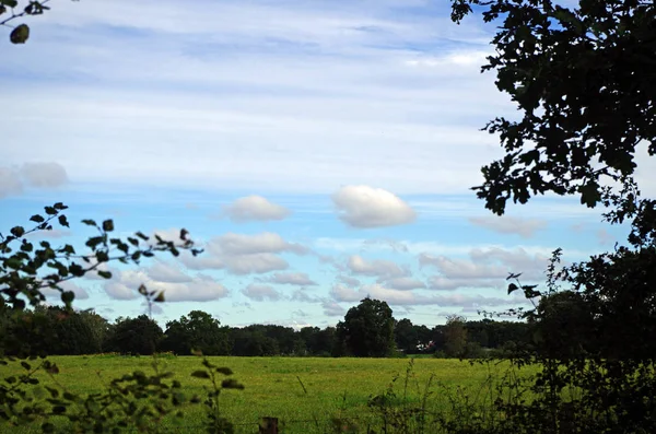 푸른 하늘이 감도는 지역 — 스톡 사진