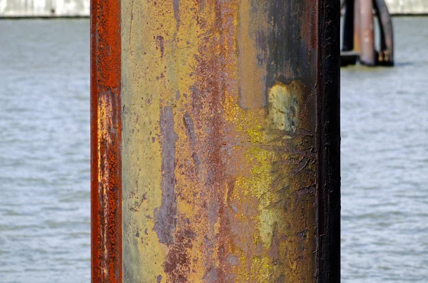 Delfín oxidado contra un río — Foto de Stock