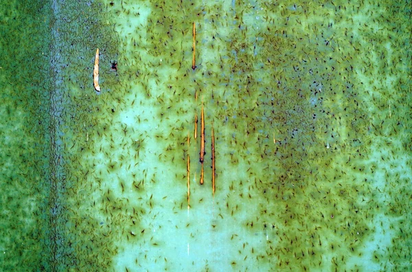 Vista abstrata de uma parede de metal verde enferrujado — Fotografia de Stock