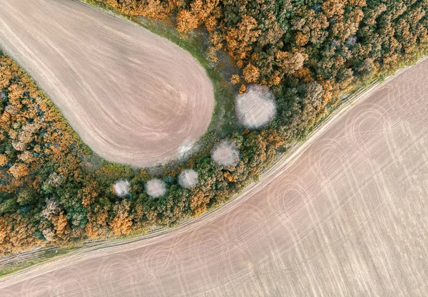 Осень Приближается Концепция Гигантским Следом Лесом — стоковое фото