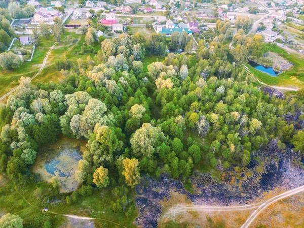 Pădure Mică Mlaștină Luncă Vedere Sus — Fotografie, imagine de stoc