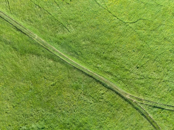 緑の芝生と牧草地への道を上から表示します 自然な風合い — ストック写真