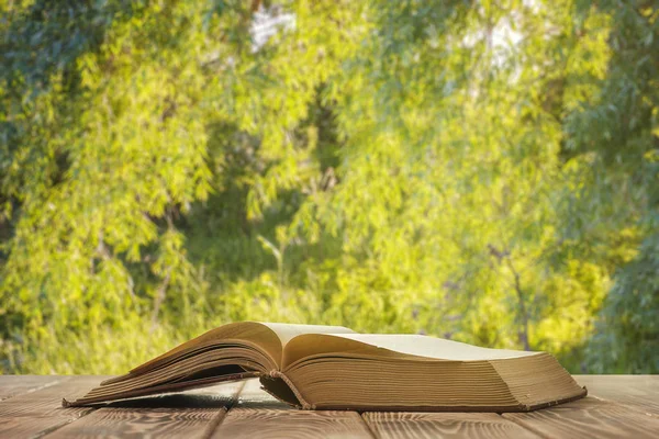 Een Open Dik Boek Tafel Tuin — Stockfoto