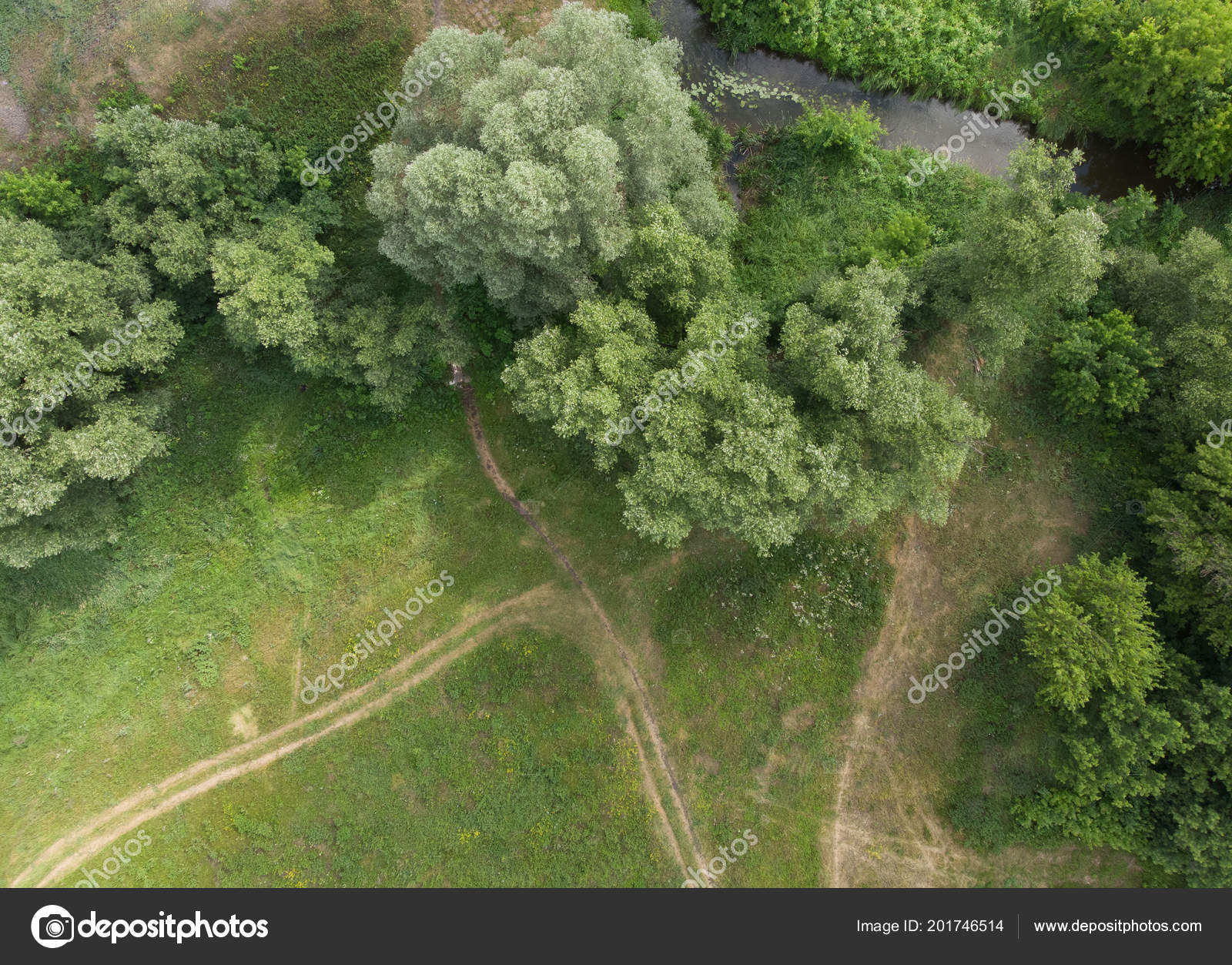 조류의 보기에서 — 스톡 사진 © olegkrugllyak #201746514