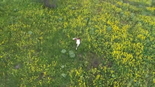 Flicka Ett Fält Med Blommor Ovanifrån — Stockvideo