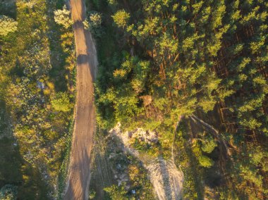 Güzel yaz günü ve bir yol ormanda - yukarıdan görünüm