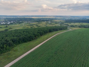 Alan, yol ve orman - dron görüntüleyin