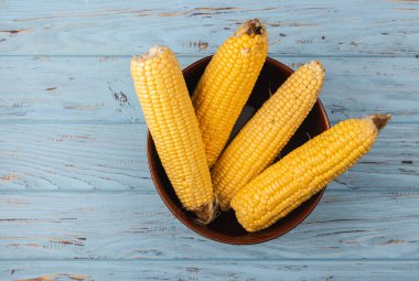 Mavi bir tabloda bir kabın içinde Mısır