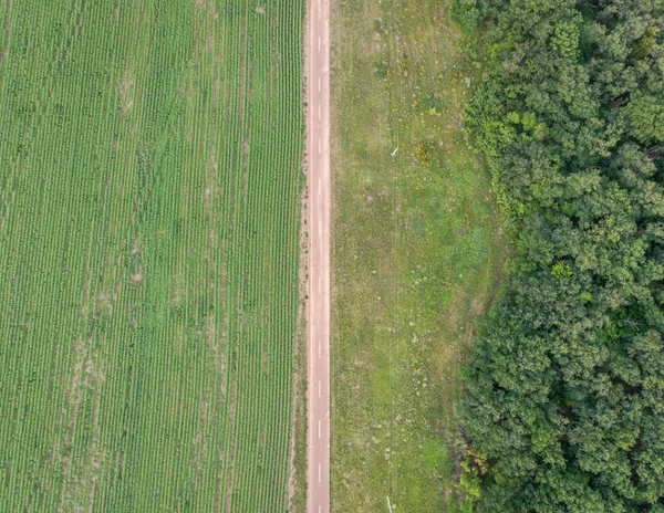 Road through the field - top view