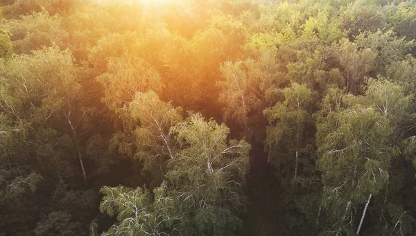 Plaja Mesteacăn Apus Vedere Aeriană — Fotografie, imagine de stoc