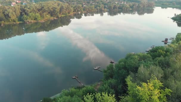 Rivier Bos Bovenaanzicht Natuur — Stockvideo