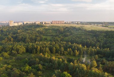 Ormandan gelen kenti 