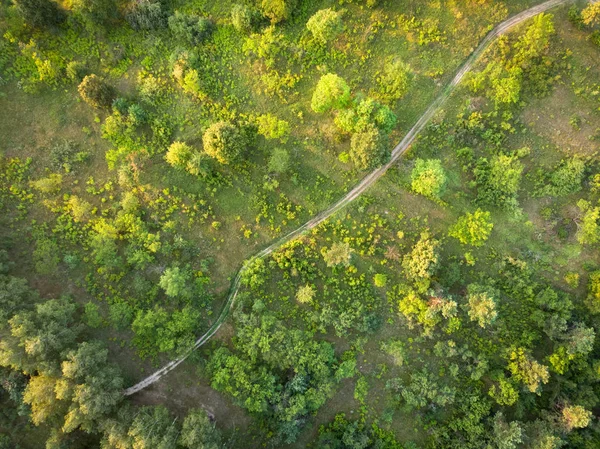 Landstraße Wald Und Feld Von Oben — Stockfoto