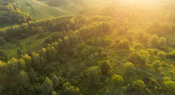 Foresta Campo Strada Vista Dall Aria — Foto Stock