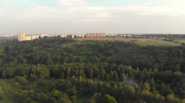 Ormandan gelen kenti. Seyahat