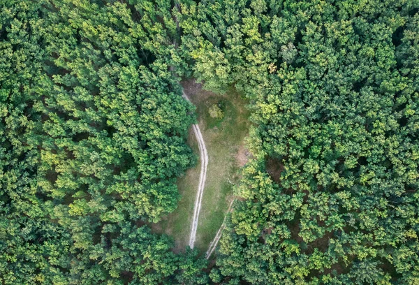 Lichtung Mitten Wald Luftaufnahme — Stockfoto