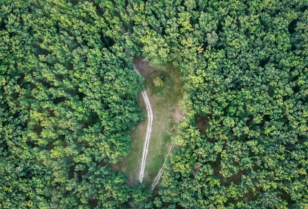 Glade Mitt Skogen Flygfoto — Stockfoto