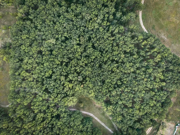 Wald Und Straße Blick Von Der Drohne — Stockfoto