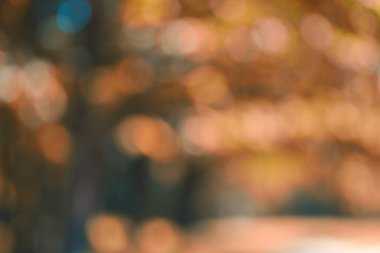 Sonbahar doğal arka plan bulanık