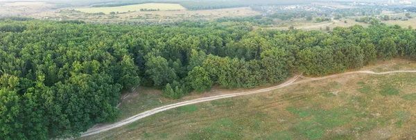 Panorama Drumului Pădurii — Fotografie, imagine de stoc