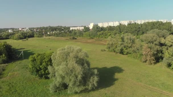 Vue de la ville depuis la forêt. Voyages 