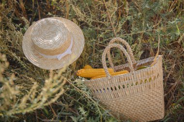 Mısır koçanı hasır çanta içinde hasat 