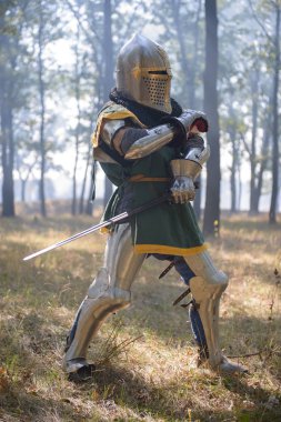 Zırh ormanda Ortaçağ Knight