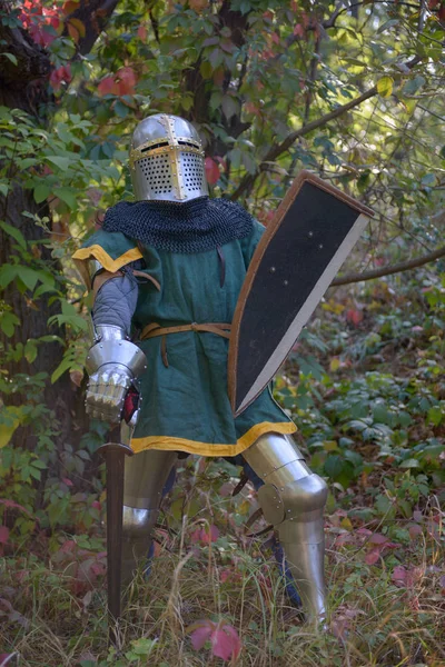 中世纪骑士在盔甲在森林里 — 图库照片
